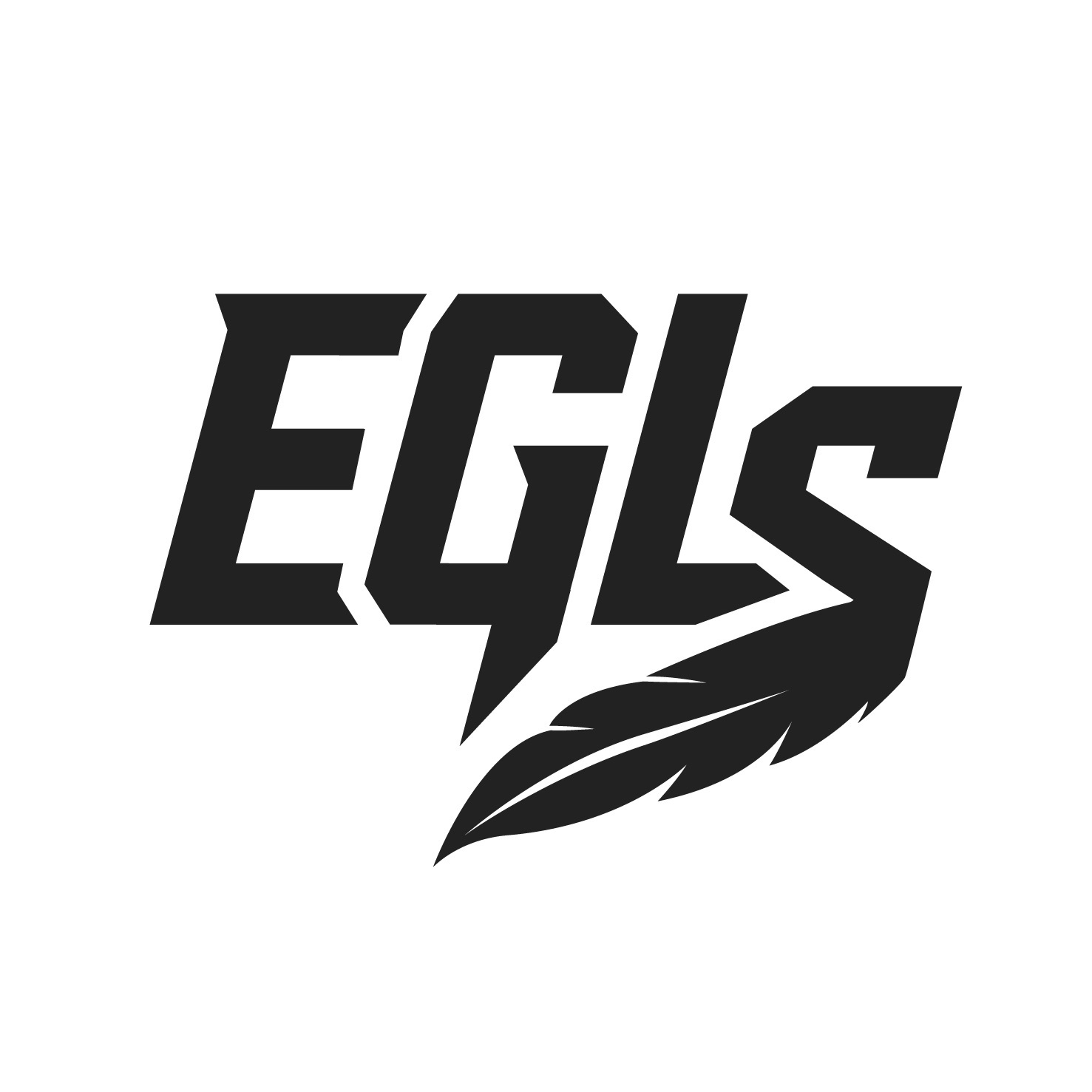 EGL'S CSM
